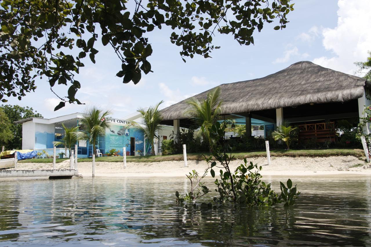 Mangrove Eco Resort Alcoy Esterno foto